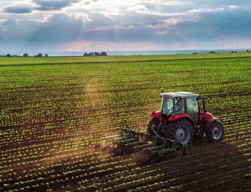 Agricoltura britannica alle prese con una crisi senza precedenti