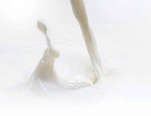 Le conseguenze sull’industria casearia della minore produzione di latte in Nord Europa secondo Rabobank