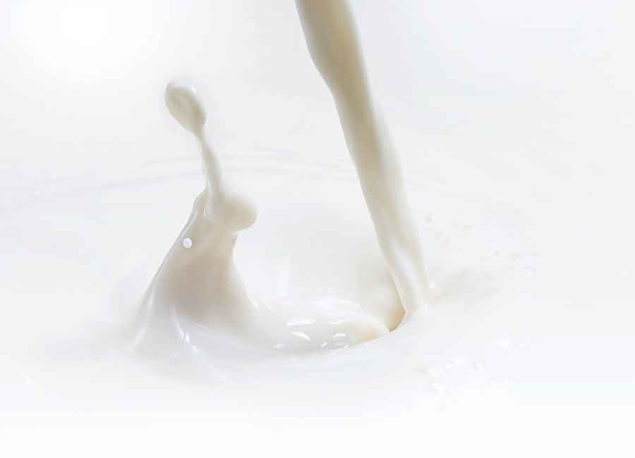 latte crudo