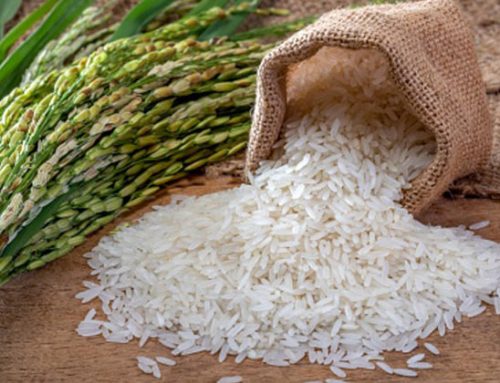 Confagricoltura, preoccupazione per la revisione del regolamento UE sul comparto del riso