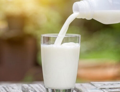 Usa / Nel 2024 è tornato a crescere il consumo di latte alimentare