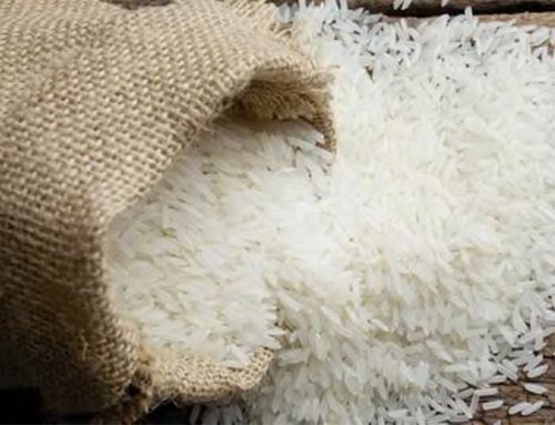 Ue/Riso: nei primi mesi del 2025 è aumentato l’import di prodotto confezionato dalla Cambogia