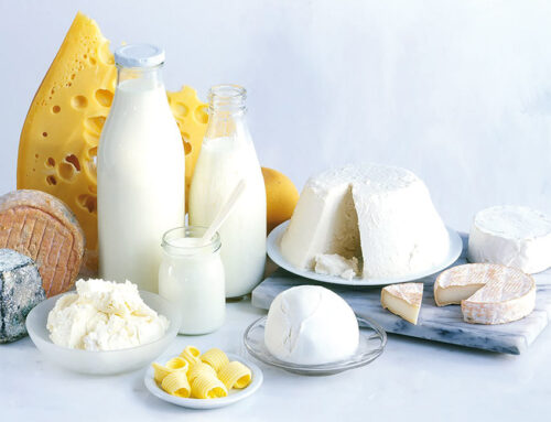 L’export lattiero caseario Ue 2025 si chiude con segno positivo: +0,9%