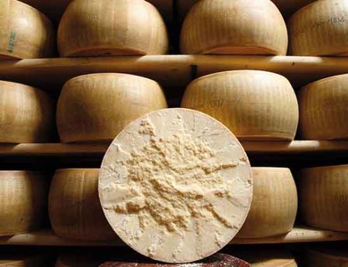 Siglato protocollo d’intesa tra il Consorzio del Parmigiano Reggiano e Banca Mps per sostenere l’accesso al credito