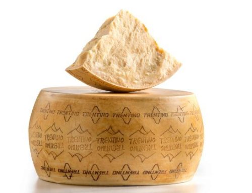 Siglato un contratto di filiera di oltre 43 milioni per la valorizzazione del Trentingrana