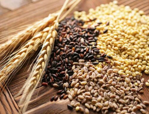 Censimento scorte cereali: al via l’obbligo della registrazione telematica delle movimentazioni