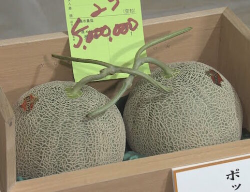 ESTERI  In Giappone i frutti più cari al mondo