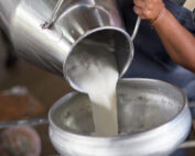 agricoltori latte