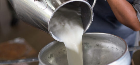 agricoltori latte