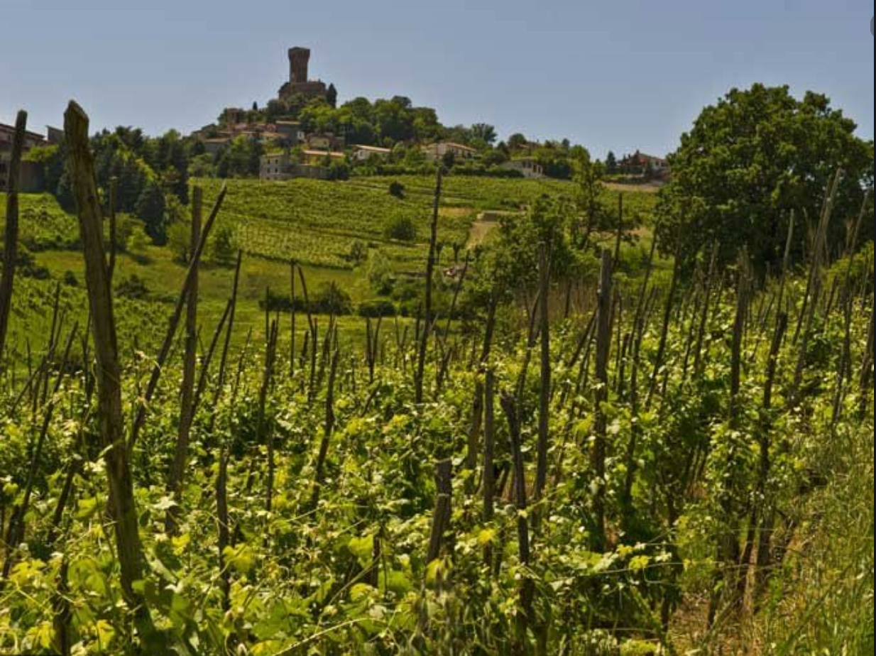 Castello di Cigognola