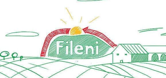 Fileni