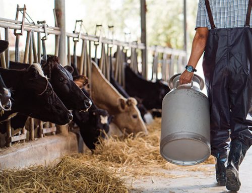 L’importanza della filiera lattiero casearia al CoopsDay 2022