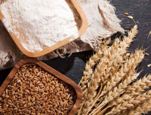Italmopa: l’industria molitoria italiana produce 3,7 milioni e mezzo di tonnellate di semole