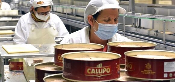 Callipo