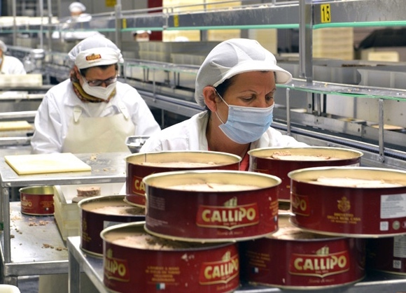 Callipo