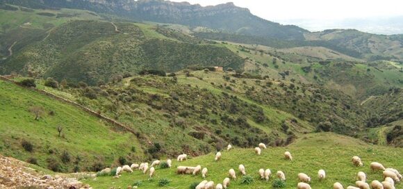 Sardegna