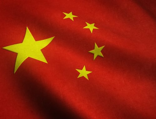 Frattaglie suine: la Cina guida la domanda globale. L’analisi di Teseo by Clal