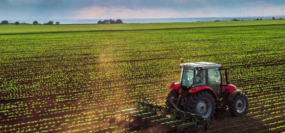 Produzione agricola