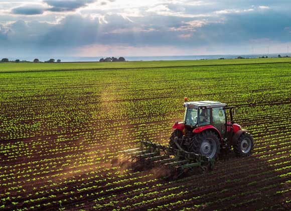 Produzione agricola