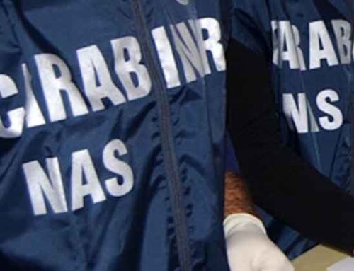 Sicurezza alimentare: a Catania, i Nas chiudono un polo logistico di surgelati e sequestrano 3 mln di euro di prodotti irregolari