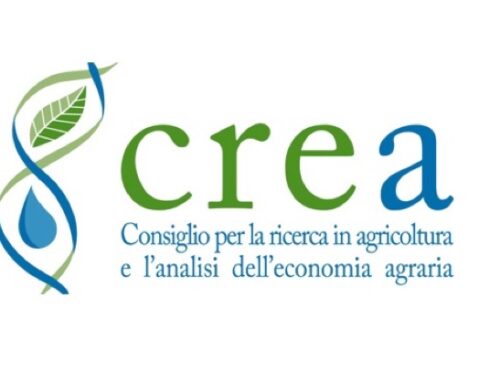 Crea, bilancio di metà mandato per il presidente Rocchi