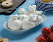 Burrata