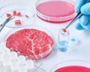 Uk, il governo stanzia 1,6 milioni di sterline per finanziare un progetto sulla sicurezza della carne coltivata