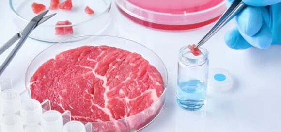 Uk, il governo stanzia 1,6 milioni di sterline per finanziare un progetto sulla sicurezza della carne coltivata