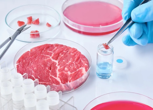 Uk, il governo stanzia 1,6 milioni di sterline per finanziare un progetto sulla sicurezza della carne coltivata