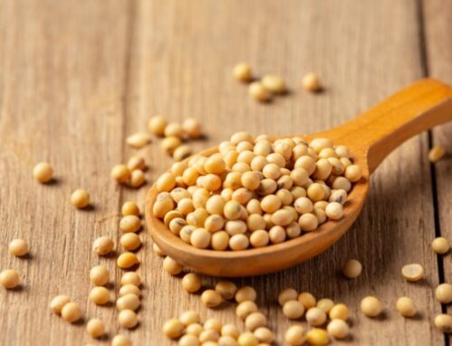 Usa / Le aziende agricole americane affrontano nuove tensioni commerciali e puntano sulla soia