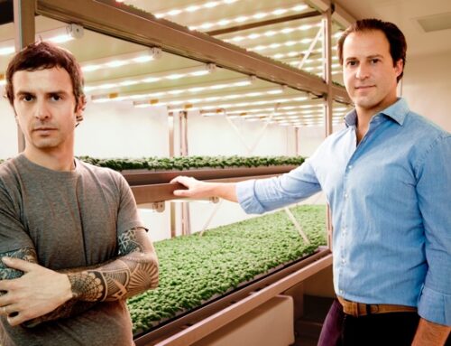 Planet Farms al 16esimo posto nella FoodTech 500, la classifica che premia le innovazioni agri-tech