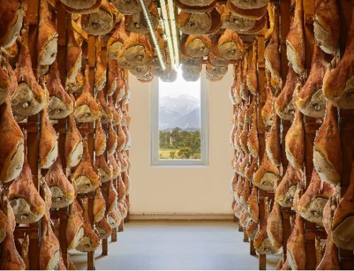 Fondazione San Daniele: rinnovati vertici e obiettivi per il triennio 2025-2027