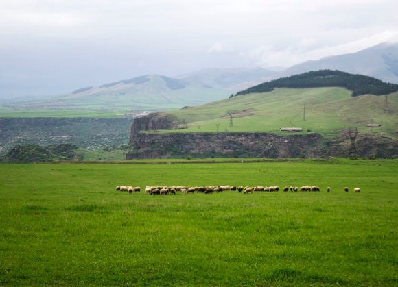 Irish Grass-Fed Beef