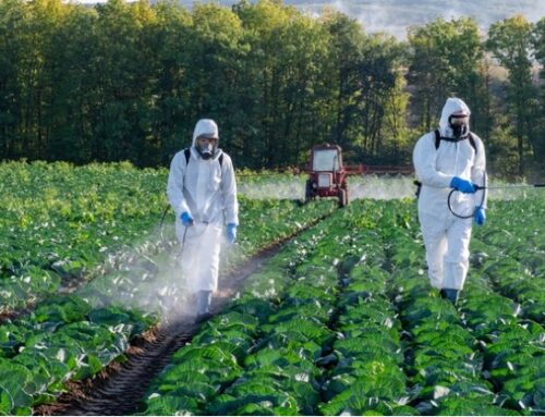 Usa / Glifosato, la Corte Suprema si pronuncia sul caso Roundup: stop alle cause contro Bayer