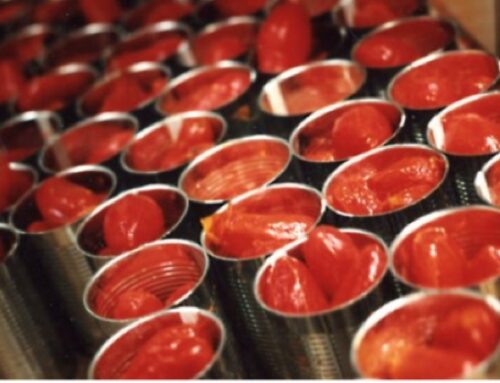 Conserve made in Italy: nel 2024 export verso il Medio Oriente a 84 milioni di euro (+5,7%)