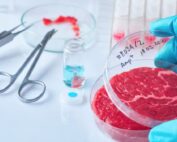Carne coltivata