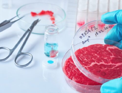 Carne sintetica: il governo prepara il ddl che vieta la produzione. Multe fino a 60mila euro