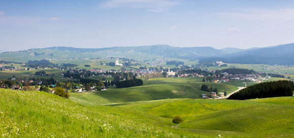 certificazione biologica asiago