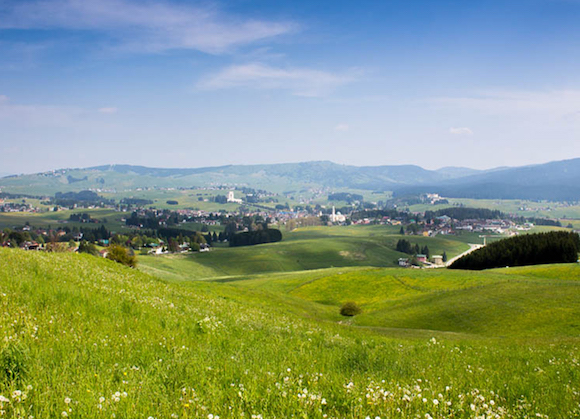 certificazione biologica asiago