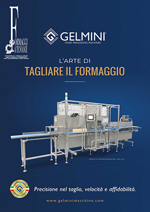 FormaggieTecnologieWEB