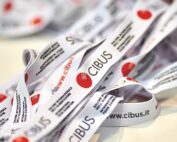 cibus