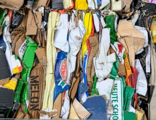 Italia seconda in Europa per produzione di carta da macero con 6,8 milioni di tonnellate