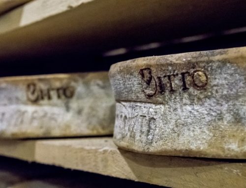 Bitto contraffatto: la Procura di Sondrio indaga su sette imprese