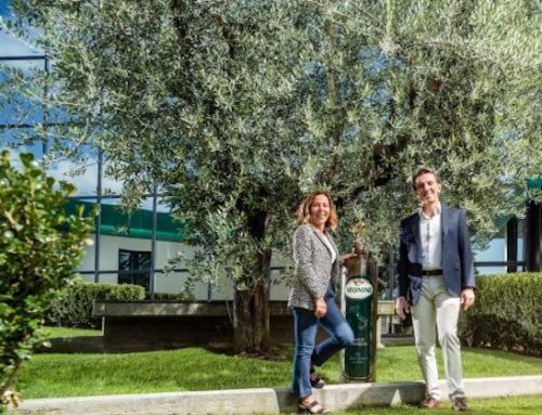 Olio d’oliva Monini: cresce il volume di affari in Giappone