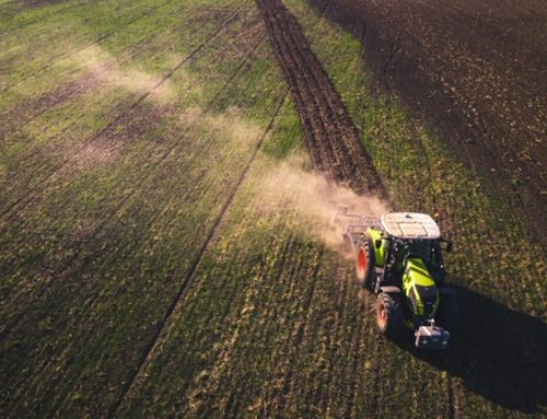 TEA / 7. Copagri: “Finalmente dall’Europa una risposta forte e chiara”