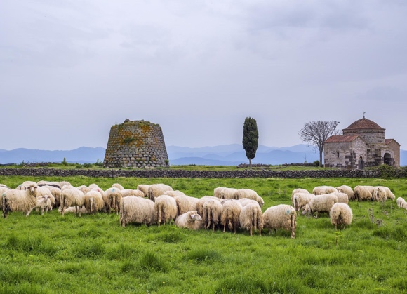 Agnello di Sardegna Igp