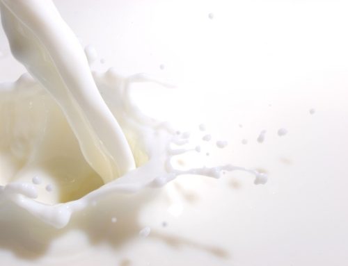 Quote latte,  gli allevatori lombardi scendono in piazza