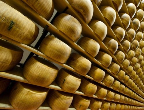 Parmigiano Reggiano, l’Assemblea approva il bilancio 2021. Proposto divieto di produrre formaggi similari nei caseifici della filiera
