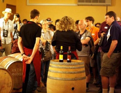 Cantine Aperte e Responsabili, Wine in Moderation con Movimento Turismo del Vino per l’evento clou dedicato all’enoturismo