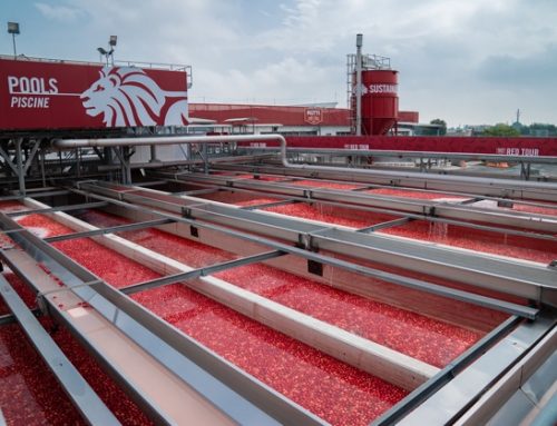 Corea del Sud / Samyang (ServeQ) introduce i nuovi formati Mutti per una o due persone